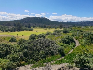 Image of muriwainov20h.jpg