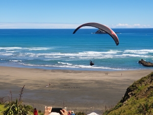 Image of muriwainov20t.jpg