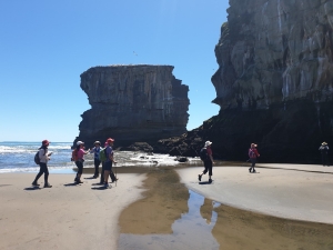 Image of muriwainov20u.jpg