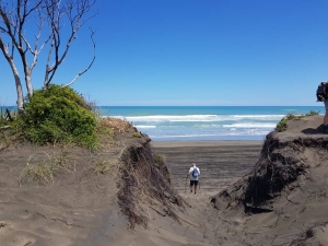 Image of muriwainov21a.jpg