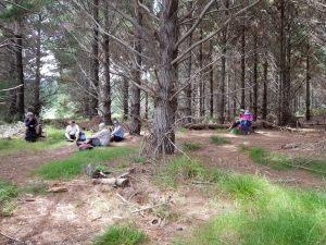 Image of muriwainov21b.jpg