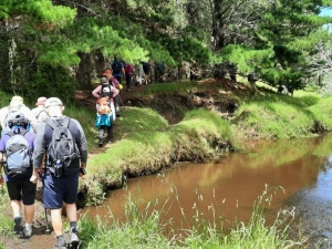 Image of muriwainov21d.jpg