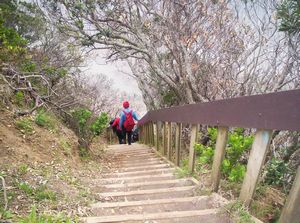 Image of musickpointabtc05descent.jpg