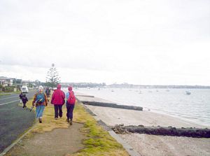 Image of musickpointabtc05foreshore7.jpg