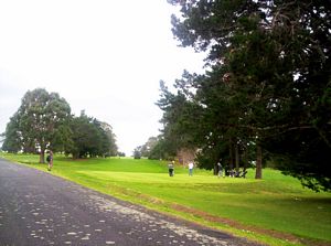 Image of musickpointabtc05golfcourse3.jpg