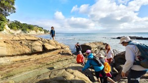 Image of narrowneckbrownsbaymar261.jpg