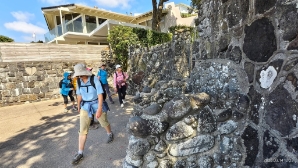 Image of narrowneckbrownsbaymar262.jpg