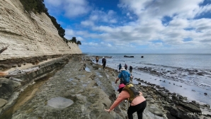 Image of narrowneckbrownsbaymar263.jpg