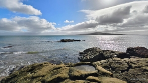 Image of narrowneckbrownsbaymar264.jpg