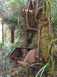 Image of neavesville21a.jpg