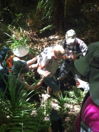 Image of neavesville21b.jpg