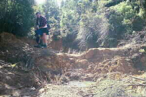 Image of neavesvilletrack3q.jpg