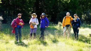 Image of nelsonlakes20ssb.jpg