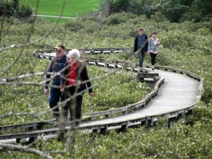 Image of newlynnmay19f.jpg