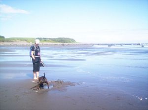 Image of newplymouth05monoakura7.jpg