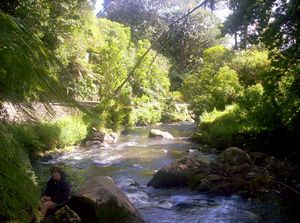 Image of newplymouth05sathuatoki4.jpg