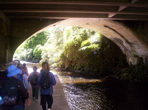 Image of newplymouth05satlowertehenuitunnel.jpg