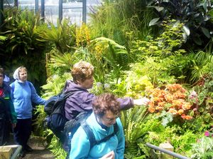 Image of newplymouth05satpukekurafernery.jpg