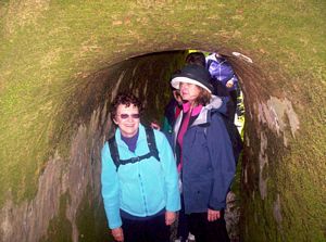 Image of newplymouth05satpukekurafernerytunnel.jpg