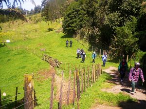 Image of newplymouth05sattehenui3.jpg