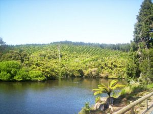 Image of newplymouth05sunmangamahoelookout.jpg