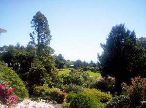 Image of newplymouth05sunpukeitigardenspm1.jpg