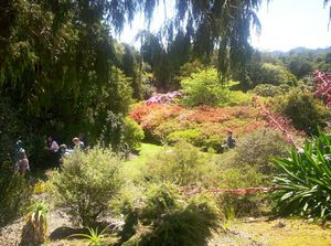 Image of newplymouth05sunpukeitigardenspm2.jpg