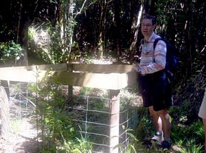 Image of newplymouth05sunpukeitipaintmine.jpg