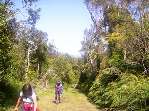 Image of newplymouth05sunpukeitisummittrack.jpg