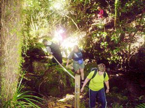 Image of newplymouth05sunpukeititramline.jpg