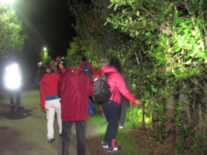 Image of nightwalkapr17g.jpg