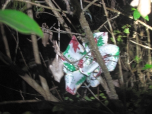 Image of nightwalkapr17i.jpg