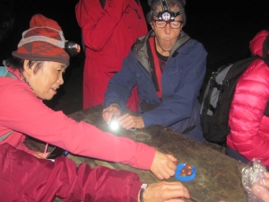 Image of nightwalkapr17l.jpg