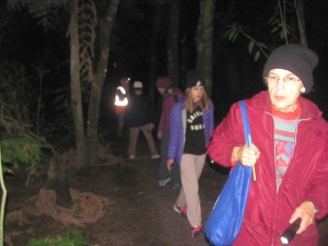 Image of nightwalkapr17m.jpg