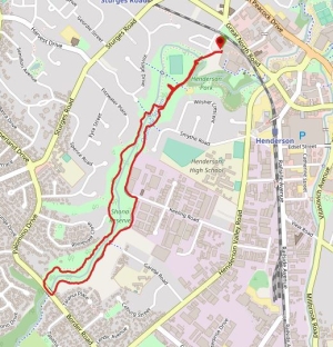 Image of nightwalkapr17p.jpg