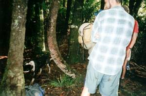 Image of nihotupu03dog.jpg