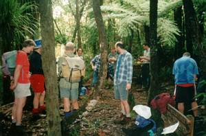 Image of nihotupu03elevenses.jpg