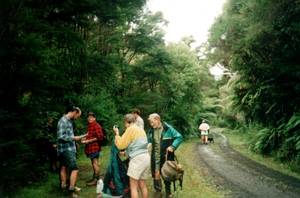 Image of nihotupu03huiadamroad.jpg