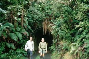Image of nihotupu03huiaroadtunnel.jpg