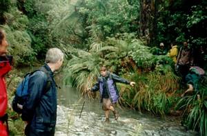 Image of nihotupu03huiastream.jpg