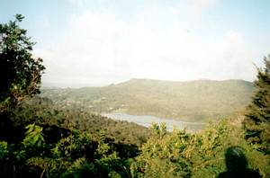 Image of nihotupu03lowernihotupureservoir.jpg