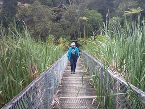 Image of northcote03boardwalk.jpg