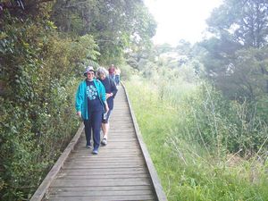Image of northcote03boardwalk2.jpg