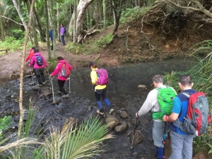 Image of northpihasep16b.jpg