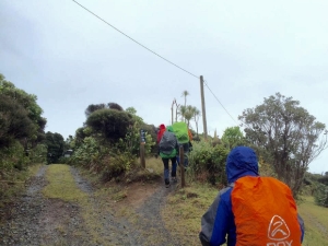 Image of northpihasep16c.jpg