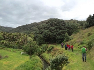 Image of northpihasep16g.jpg