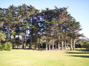 Image of northshorecoast06bnearstart.jpg