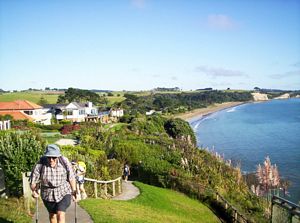 Image of northshorecoast06doneroatrack.jpg