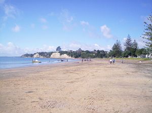 Image of northshorecoast06gbrownsbay.jpg