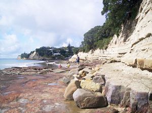 Image of northshorecoast06jpastbrownsbay.jpg